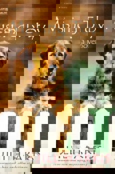 Missing Toby by Jill Harris