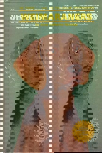 Weimaraners by Anna Katherine Nicholas