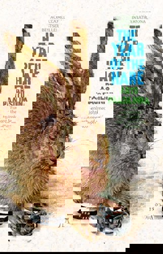 The Year of the Hare by Arto Paasilinna