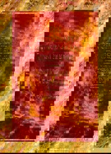 The Dictionary of New Zealand Biography: Volume 3: 1901-1920 by Auckland University Press