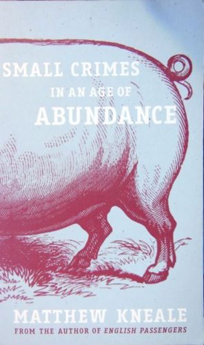 Small Crimes in an Age of Abundance by Matthew Kneale