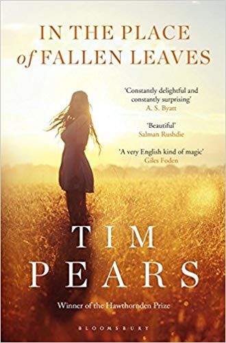 In the Place of Fallen Leaves by Tim Pears