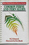 Common Ferns And Fern Allies by R J Chinnock