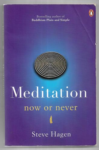 Meditation Now Or Never by Steve Hagen