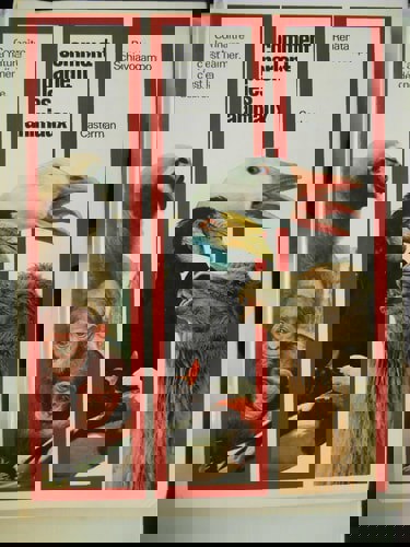 Comment Parlent Les Animaux by Renata Schiavocampo