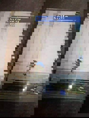 Hardflip The Illusion