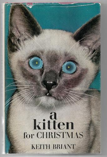 A Kitten For Christmas by Keith Briant