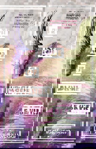 The House Of Impossible Beauties by Joseph Cassara