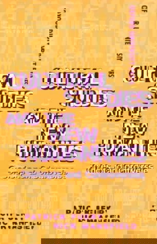 Cultural Studies And The New Humanities: Concepts And Controversies by Patrick Fuery and Nick Mansfield