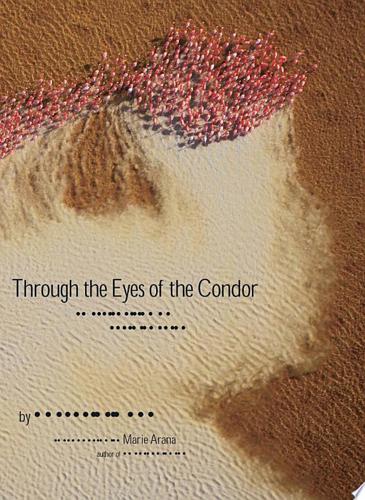 Through The Eyes Of The Condor: An Aerial Vision Of Latin America by Robert B. Haas