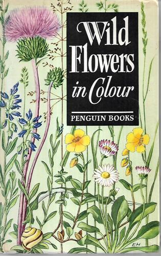 Wild Flowers In Colour by E. Hahnewald and J. Hutchinson