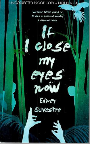 If I Close My Eyes Now by Edney Silvestre