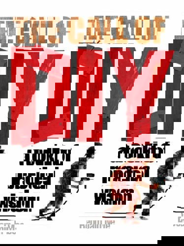 The Call Of DIY A Toolkit Of Practical Wisdom by Benjamin Mee