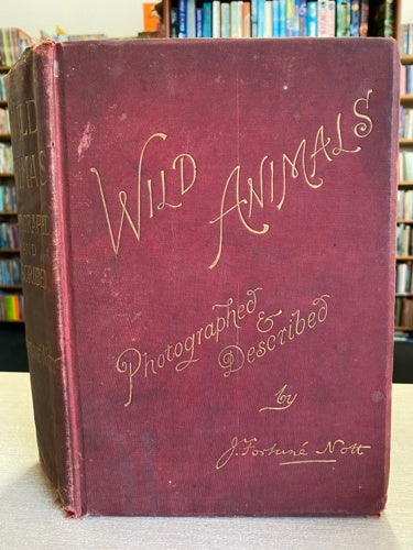 Wild Animals Photographed And Described by J. Fortuné NOTT