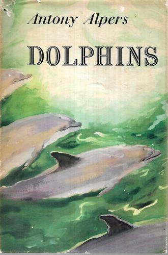 Dolphins by Antony Alpers