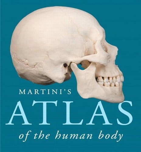 Martini's Atlas Of The Human Body by Frederic Martini