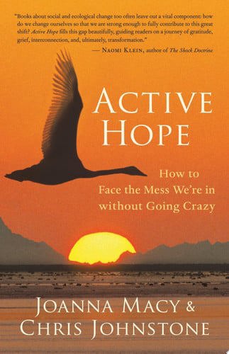 Active Hope : How To Face The Mess We're In Without Going Crazy by Chris Johnstone and Joanna Macy