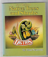 New Zealand Native Trees And Shrubs by Eion Scarrow