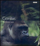 Gorillas : The Greatest Apes by Michael Bright