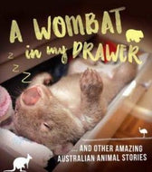 Wombat in My Drawer & Other Amazing Anim by Ros Almond