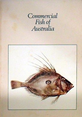 Commercial Fish of Australia