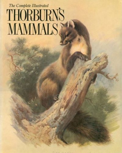 The Complete Illustrated Thorburn's Mammals by Archibald Thorburn