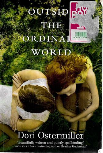 Outside the Ordinary World by Dori Ostermiller