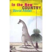 In the New Country by David Foster