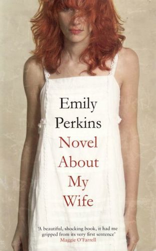 Novel About My Wife by Emily Perkins