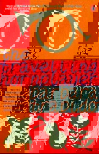 The Travelling Horn Player by Barbara Trapido