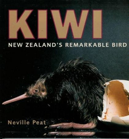 Kiwi by Neville Peat