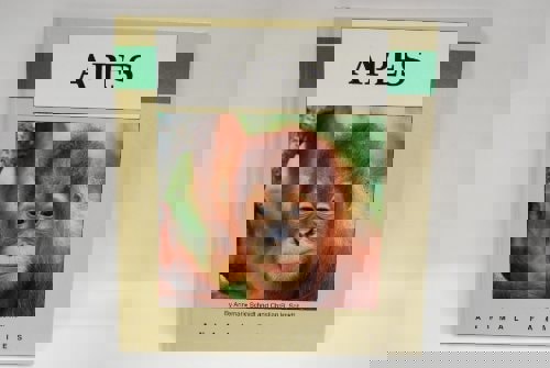 Apes by Annemarie Schmidt and Christian R. Schmidt