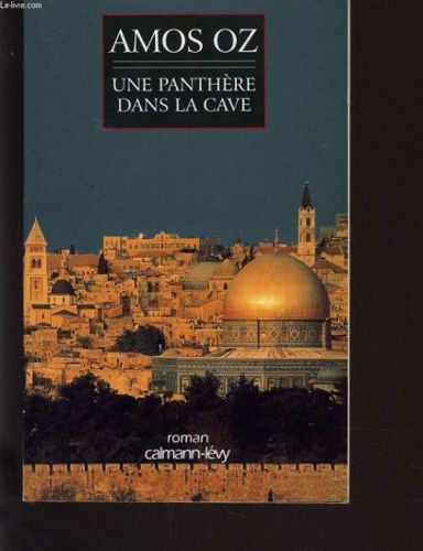 A Perfect Peace by Amos Oz