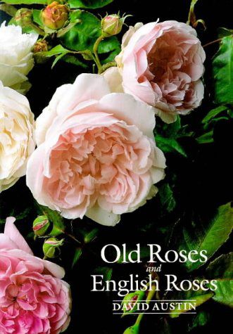 Old Roses And English Roses by David Austin