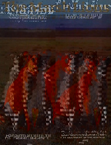 The Marsh Lions - the Stoy of An African Pride by Brian Jackman and Jonathan Scott