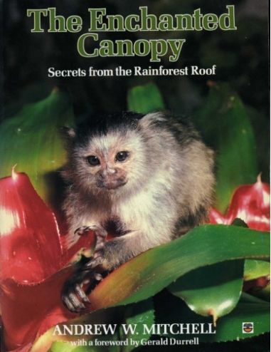 The Enchanted Canopy: Secrets From the Rain Forest Roof by Andrew Mitchell