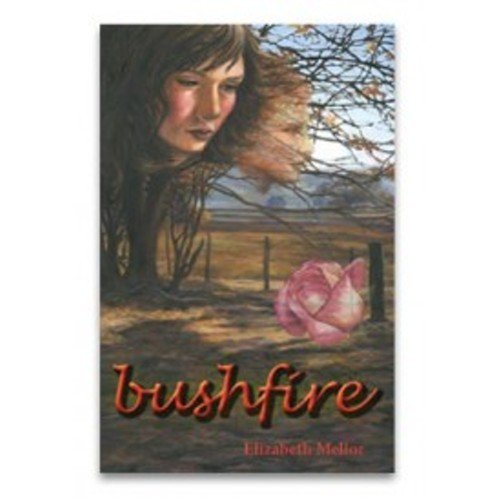 Bushfire by Elizabeth Mellor