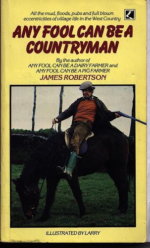 Any Fool Can Be a Countryman by James Robertson