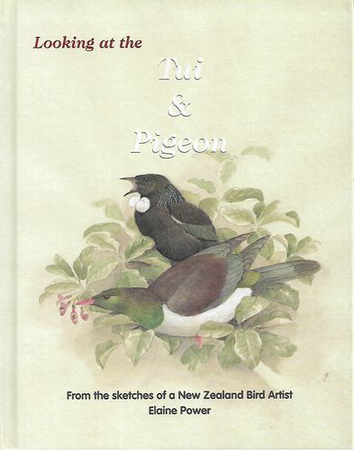 Looking At the Tui & Pigeon - From the Sketches of a New Zealand Bird Artist by Elaine Power