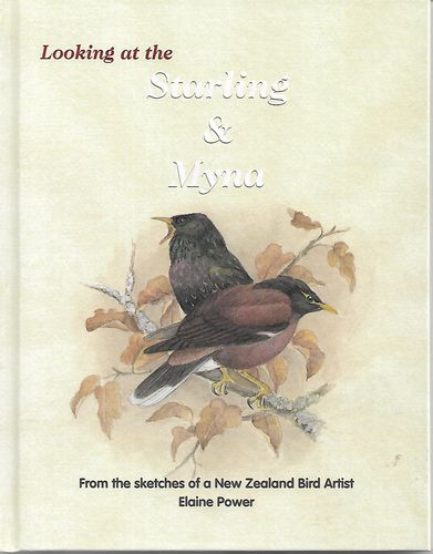 Looking At the Starling & Myna - From the Sketches of a New Zealand Bird Artist by Elaine Power