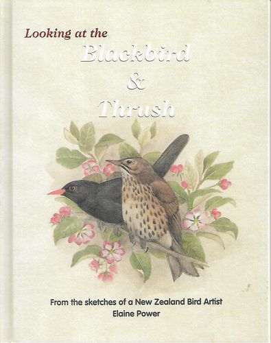 Looking At the Blackbird & Thrush - From the Sketches of a New Zealand Bird Artist by Elaine Power