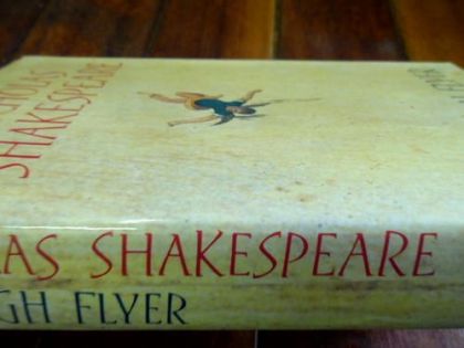 The High Flyer by Nicholas Shakespeare