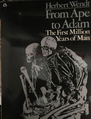 From Ape To Adam: Search for the Evolution of Man by Herbert Wendt
