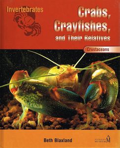 Inverbrates - Crabs, Crayfishes And Their Relatives: Crustaceans by Beth Blaxland