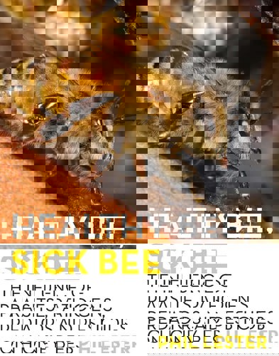 Healthy Bee, Sick Bee by Phil Lester