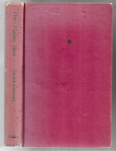 The Flame Box: a Story for Children And Other Real People by Errol Brathwaite