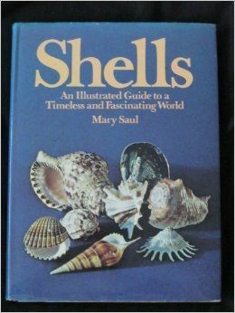 Shells: An Illustrated Guide To a Timeless And Fascinating World by Mary Saul