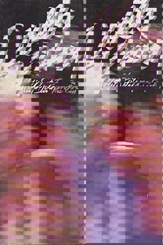 Double Vision by Tamara Cohen and Judith Skutch