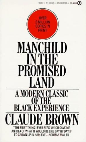 Manchild in the Promised Land by Claude Brown