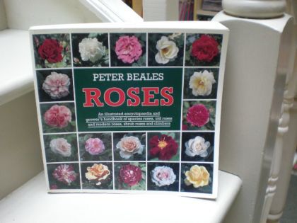 Roses: An Illustrated Encyclopaedia And Grower's Handbook of Species Roses, Old Roses And Modern Roses, Shrub Roses And Climbers by Peter Beales